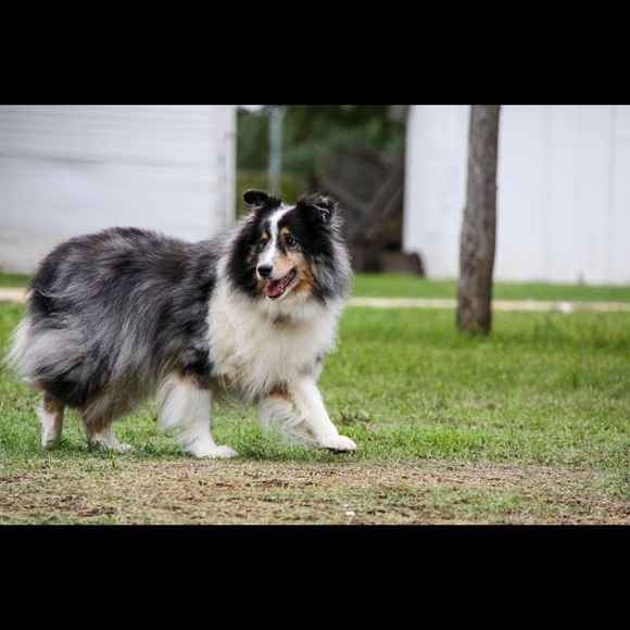 Meet your Posher, Hannah - Picture 4 of 5